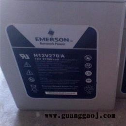 艾默生UPS电源蓄电池T12V100SEF/A  艾默生UPS电源蓄电池报价图3