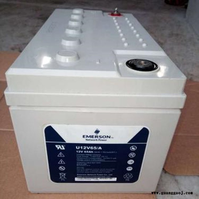 艾默生UPS电源蓄电池T12V100SEF/A 艾默生UPS电源蓄电池报价图3