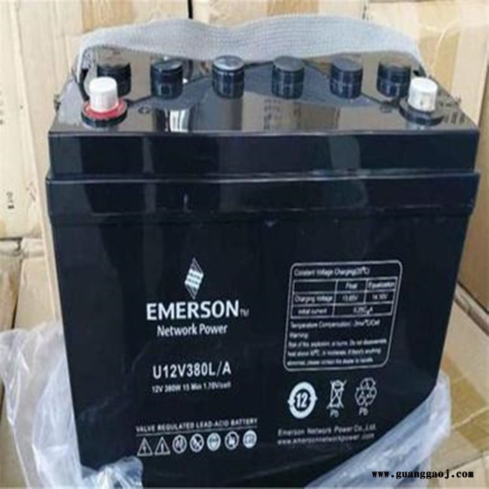 艾默生UPS电源蓄电池T12V100SEF/A 艾默生UPS电源蓄电池报价图4