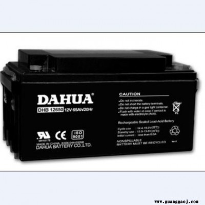 大华DAHUA蓄电池DHB1223 12V2.3AH机房配电室电池 UPS电源电池 EPS蓄电池 移动通讯电源电池