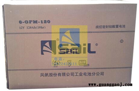 风帆6-GFM-120 12V65AH蓄电池 UPS电源用电池 EPS电源蓄电池厂家图2