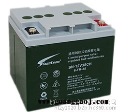 赛能蓄电池SN-12V200CH 12V200AH消防电池 UPS电源电池 EPS直流屏电池 机房配电室电源蓄电池图2