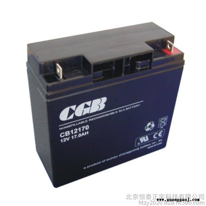 CGB蓄电池CB122000长光蓄电池12V200AH直流屏UPS电源电池EPS电池机房应急电源电池图6
