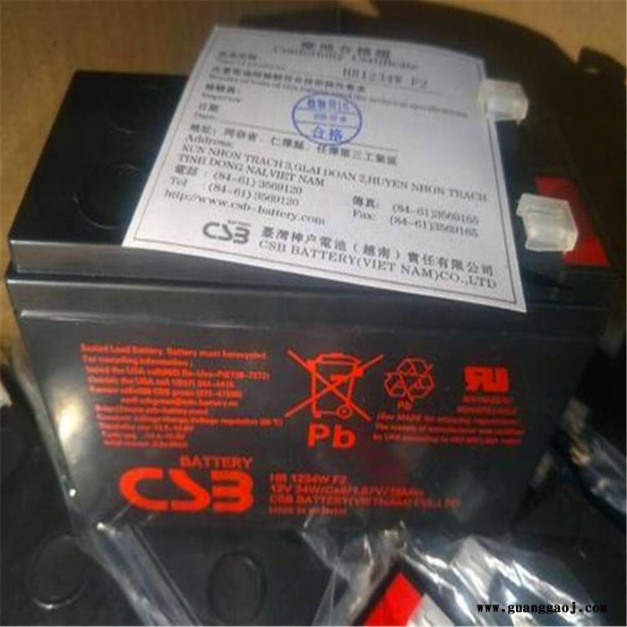 CSB蓄电池UPS12580 F2  12V580W消防电池 UPS电源电池 EPS直流屏电池 机房配电室电源蓄电池图3