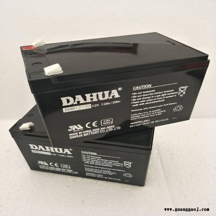 大华蓄电池批发零售 DAHUA蓄电池参数价格 大华集团图2