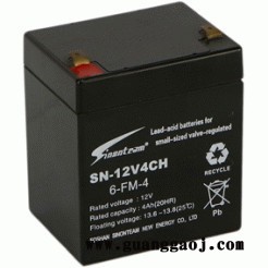 赛能蓄电池SN-12V24CH 12V24AH消防电池 UPS电源电池 EPS直流屏电池 机房配电室电源蓄电池图5