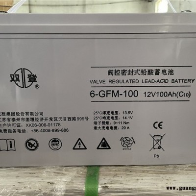 双登蓄电池 铅酸蓄电池免维护12V100AH6-GFM-100直流屏EPS机房UPS不间断应急电源