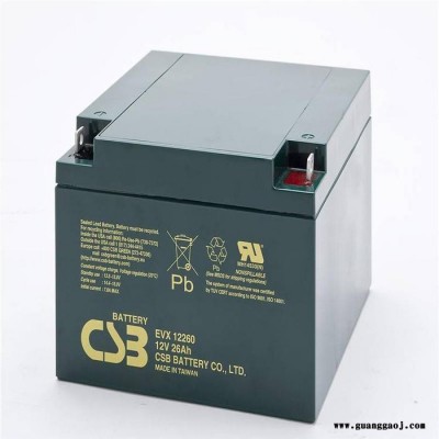 CSB蓄电池GP122000 12V200AH消防电池 UPS电源电池 EPS直流屏电池 机房配电室电源蓄电池