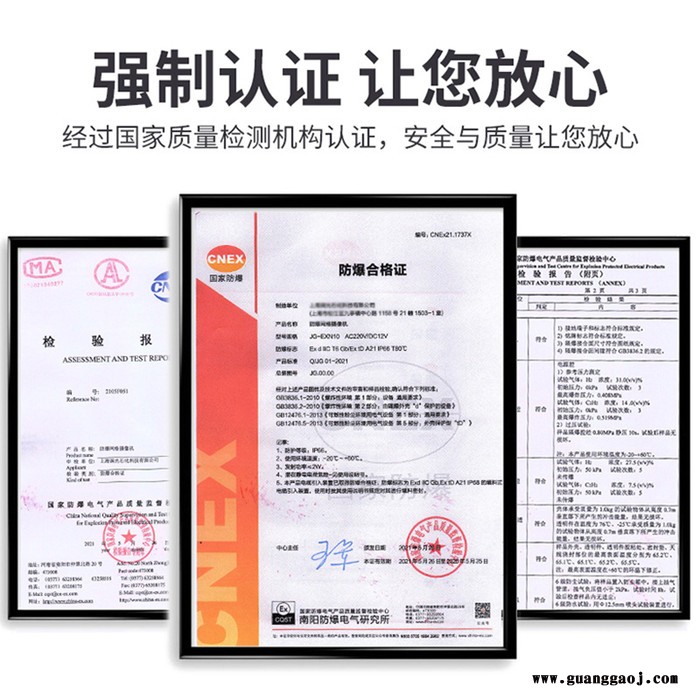 夜视鹰STB1006HIP-4G 防爆摄像机图2