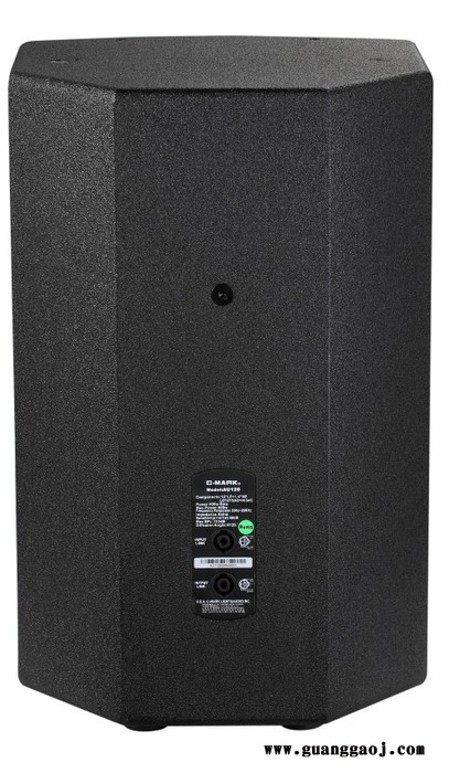 供应 C-MARK品牌  AU120 专业音箱 舞台音箱  专业音响 价格电议 舞台音响图1