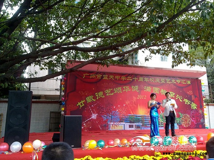 AOUSON DM系列 洛阳舞台音响 郑州 舞台音响 舞台 灯光 音响 荣锋音响 ** 没有中间环节图3