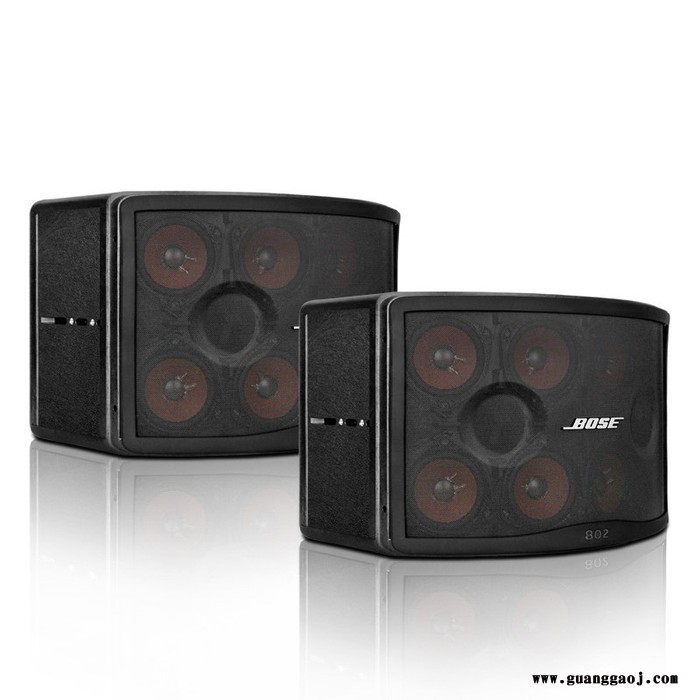 BOSE 802IV全频扬声器 会议卡拉OK音箱 博士全天候阵列音响舞台演出专用图2