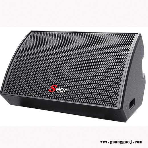 朗声音响（M-15）十五寸舞台返送音箱德国朗声seer音响图4