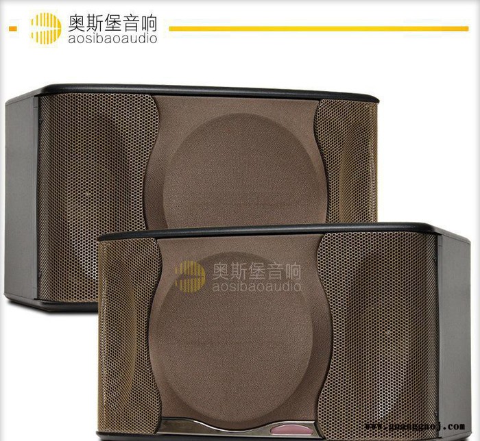 BIK款100 KTV工程10寸卡包音箱/专业舞台音响/卡拉图2