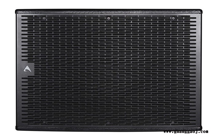 先歌IAG    AXIOM   SW2100A 音响   线阵音响  户外音响  舞台音响   音箱