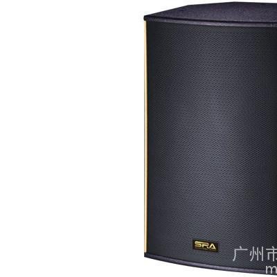 名威SRA KP910专业舞台音响 户外演出音响 卡拉OK音响 远程音响 电教音响 户外演出音响