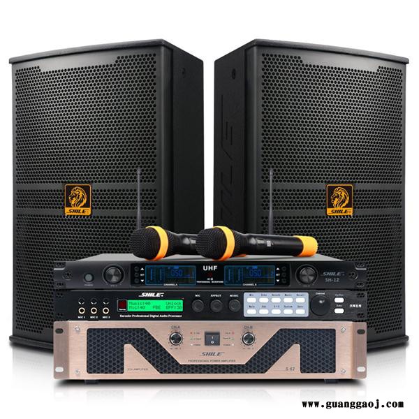 狮乐 会议室组合套装工程音箱S62 (纯后级功放) + BM10 （音箱）+ SH-12 U段无线麦克风 + 天琴六号图3