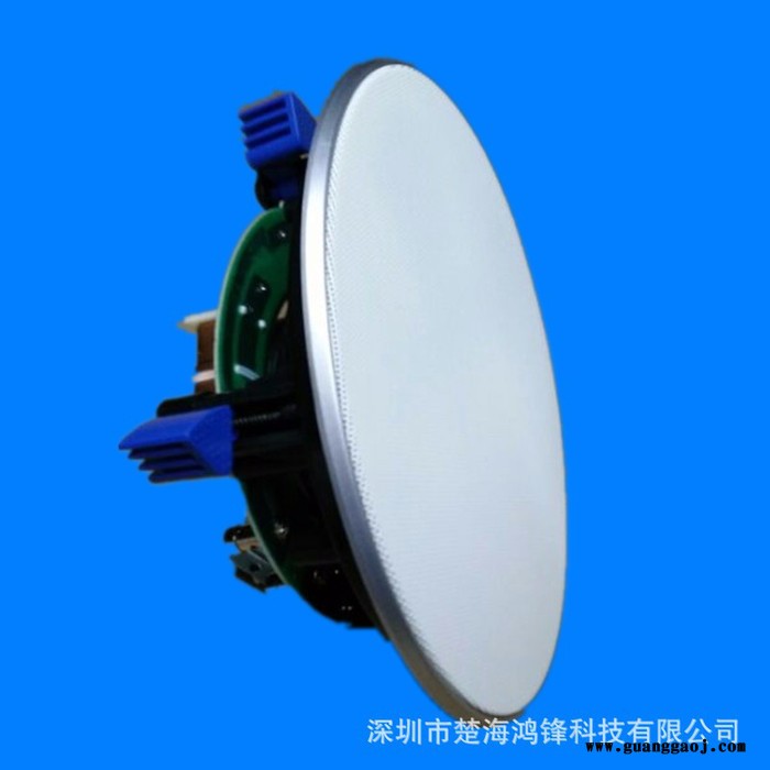 吸顶喇叭 直销豪华带分频器带高音定阻吸顶扬声器   吸顶喇叭图2
