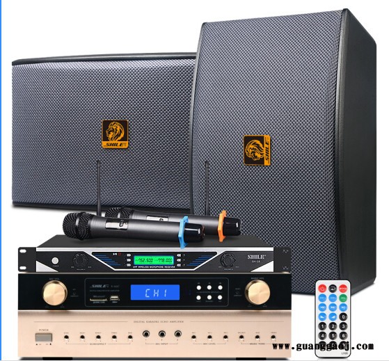 狮乐 K555/BX119组合套装 家庭、户外舞台、KTV 工程项目专用音响多组合背景音乐音响图4