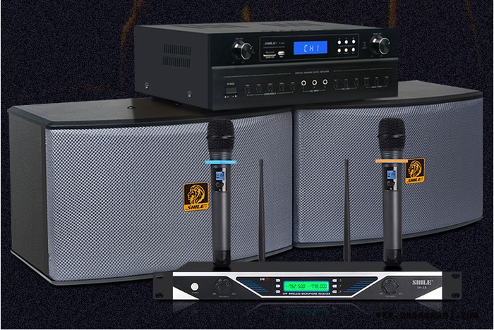 狮乐 K555/BX119组合套装 家庭、户外舞台、KTV 工程项目专用音响多组合背景音乐音响图2