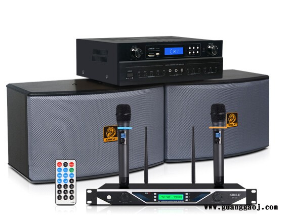 狮乐 K555/BX119组合套装 家庭、户外舞台、KTV 工程项目专用音响多组合背景音乐音响图3