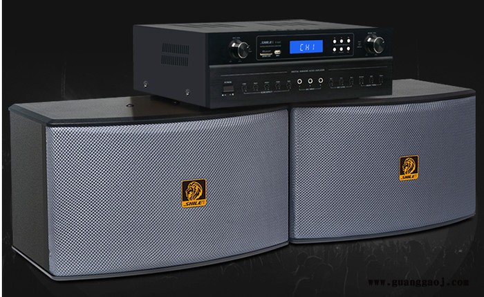 狮乐 K555/BX119组合套装 家庭、户外舞台、KTV 工程项目专用音响多组合背景音乐音响