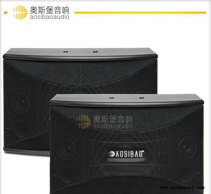 KMS-910 酒吧/教学工程10寸KTV卡包音箱/专业舞台图1