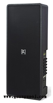 厂家批发贝塔斯瑞    ΣS306Ⅱ   ΣS专业工程安装扬声器系列图2