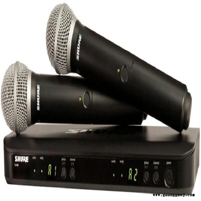 Shure BLX288/SM58 一拖二无线话筒行情图2