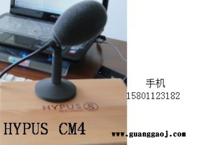 两会主席话筒。两会会议话筒图2