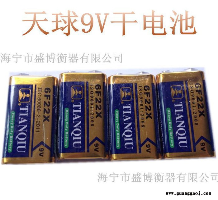 天球 9V 6F22X 测试仪 测线仪 无线话筒 玩具遥控器 电子天平电池