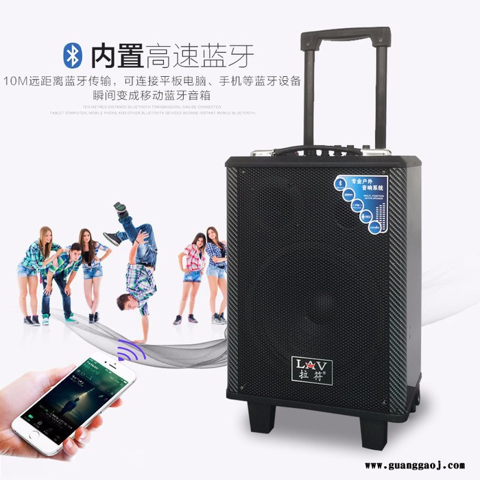 拉符PA-805D广场舞音箱 跑江湖夜市地摊移动充电无线话筒拉杆音响扩音机图4