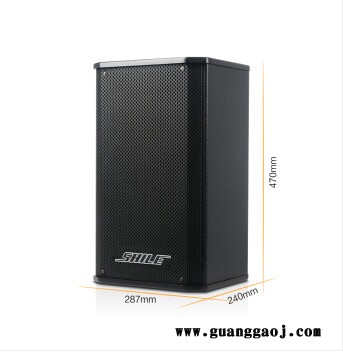 狮乐SHILE 大型会议室 舞台工程专业音响组合套装  音响BX108+功放AV108+SH10无线话筒 无线麦克风图3