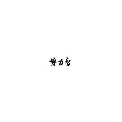 深圳博力智品牌形象CI设计