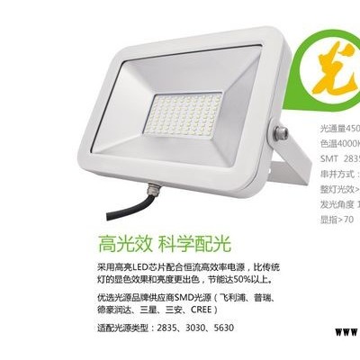 合肥LED苹果投光灯户外亮化工程投射灯技术参数