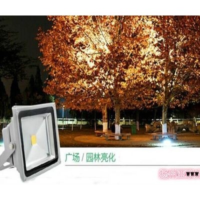 闽侯县LED投光灯户外亮化工程厂家批发生产厂家及价格
