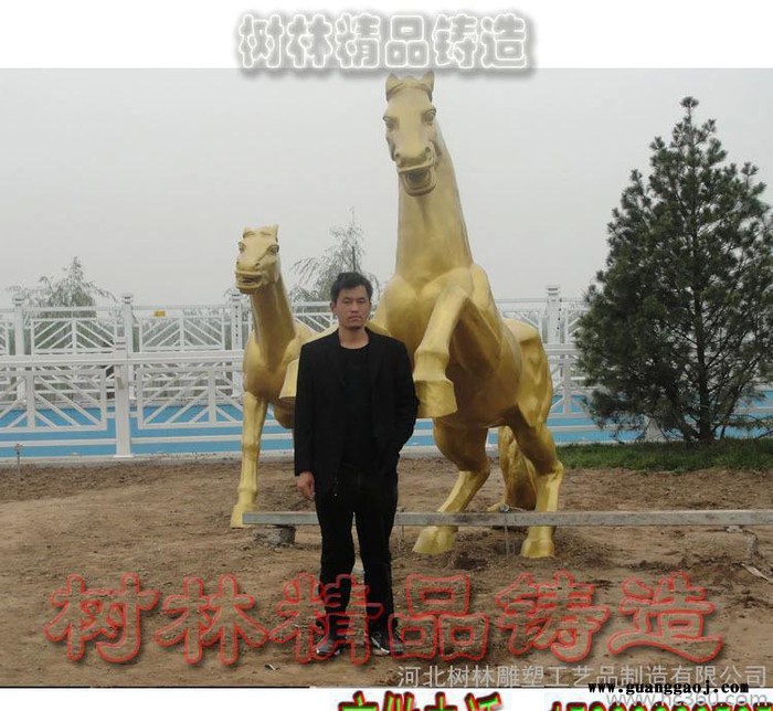 铜雕创意礼品 欧美家居摆件** 铜狮子 故宫铜狮 汇丰铜狮 精工全铜制作 镇宅神物 铜雕马北京美院设计图2