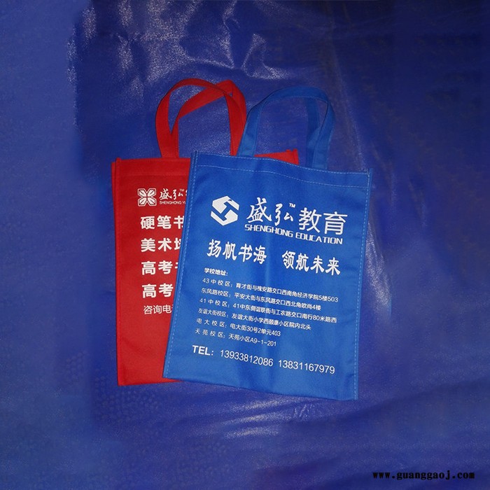 石家庄益阳公司无纺布购物袋定制logo，手提广告礼品购物袋图3