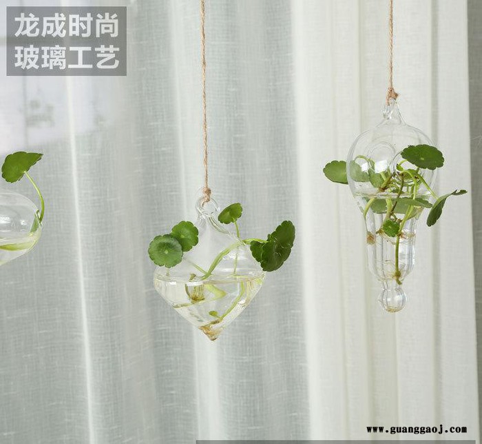 直销微景观玻璃生态瓶苔藓瓶辣椒形摆件生态瓶DIY创意礼品图2