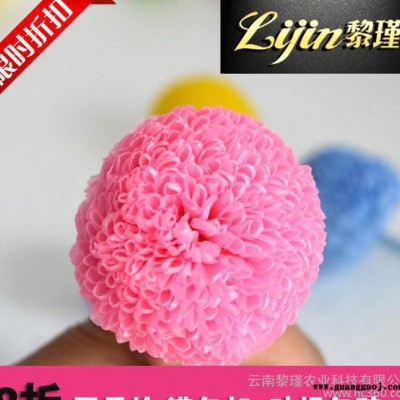 出口级永生花花材 保鲜花乒乓菊 **创意礼品DIY配花配材