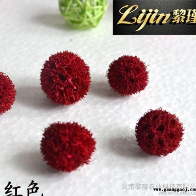直销  风球 球状类配材 时尚创意礼品  永生花花材 多色可