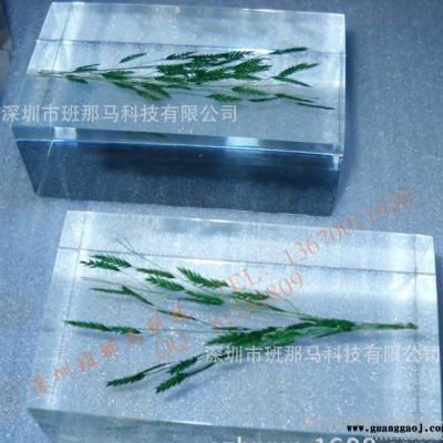 创意礼品定制 高透明水晶胶内嵌花草标本 内埋植物标本纪念礼品