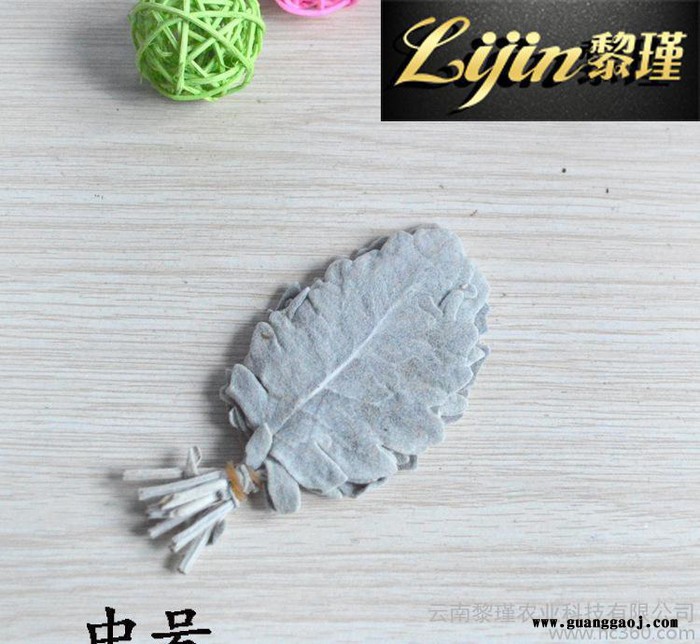 进口保鲜永生花花材配花 **创意礼品DIY情人圣诞节必备银叶图2