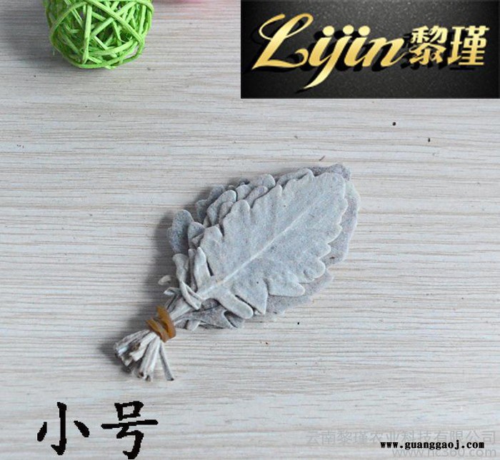 进口保鲜永生花花材配花 **创意礼品DIY情人圣诞节必备银叶