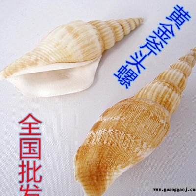 天然海螺贝壳田园风格摆件创意礼品小斧头热卖货源 全国低价