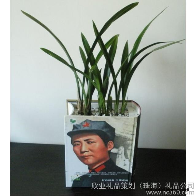 供应广告礼品创意礼品商务礼品原生态图书可种植的广告宣传