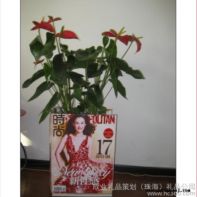 供应广告礼品创意礼品商务礼品原生态图书可种植的广告宣传图2
