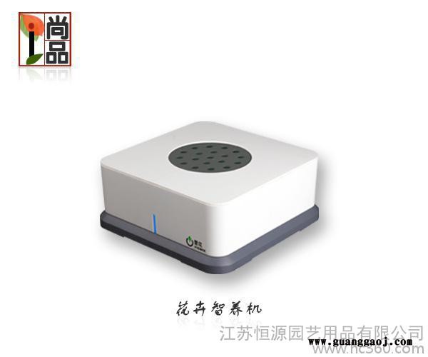孔雀草智能盆栽花盆 创意礼品家居装饰办公装饰  创意礼品图2