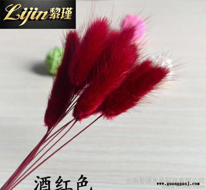 日本进口永生花花材兔尾草保鲜花配圣诞礼物花创意礼品 多色可选图2