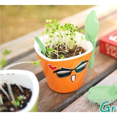 GreenSun小农国学习套装礼物 学生儿童DIY种植创意玩